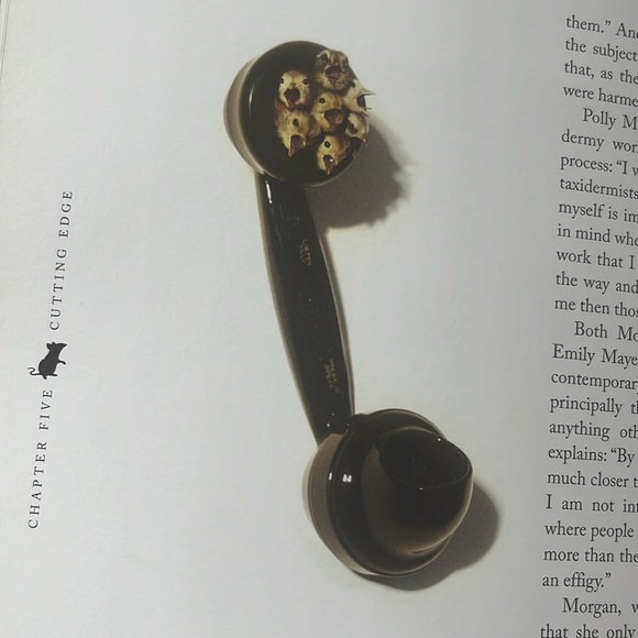 The art of Taxidermy - Picture 5 of 6